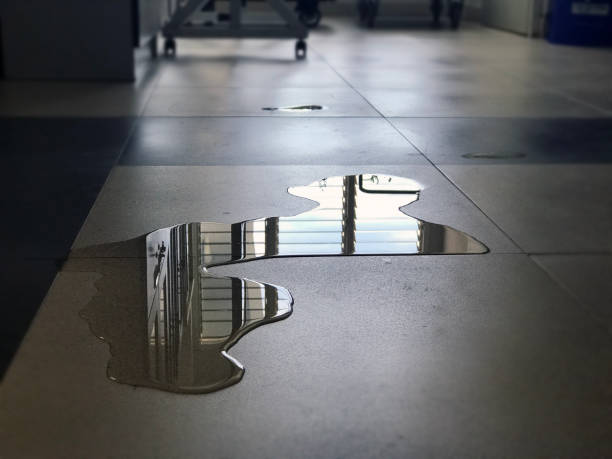 Best Water damage restoration near me  in Kenhorst, PA